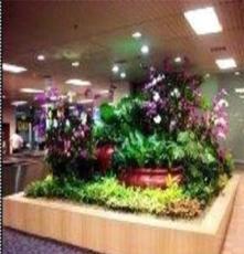 春季花卉展銷 絢爛花海中的自然之美