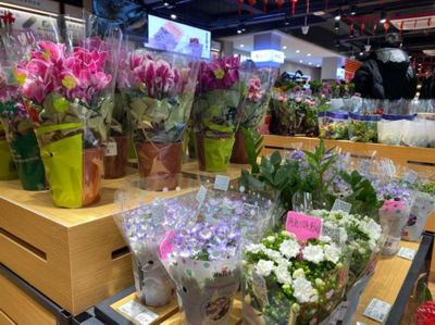 社區生鮮店 不賣雞蛋不燒錢，如何用非傳統策略贏得社區青睞？